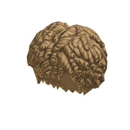 Free Roblox Curly Afro Blonde Hair